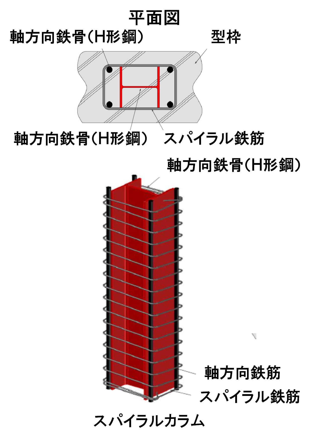 スパイラルカラム